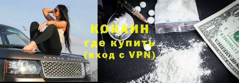 купить наркотик  Кудрово  Cocaine Fish Scale 